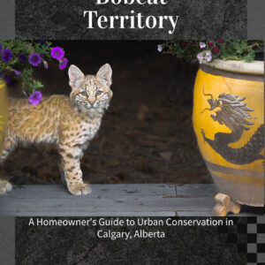 "Living in Bobcat Territory"  Paperback first edition Preorders only/ Release November 2025